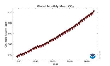 全球二氧化碳浓度2024